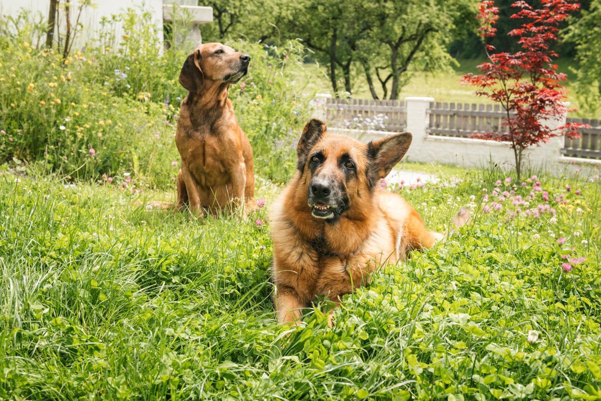 Edenhauserhof Neu Gotzens Exteriér fotografie