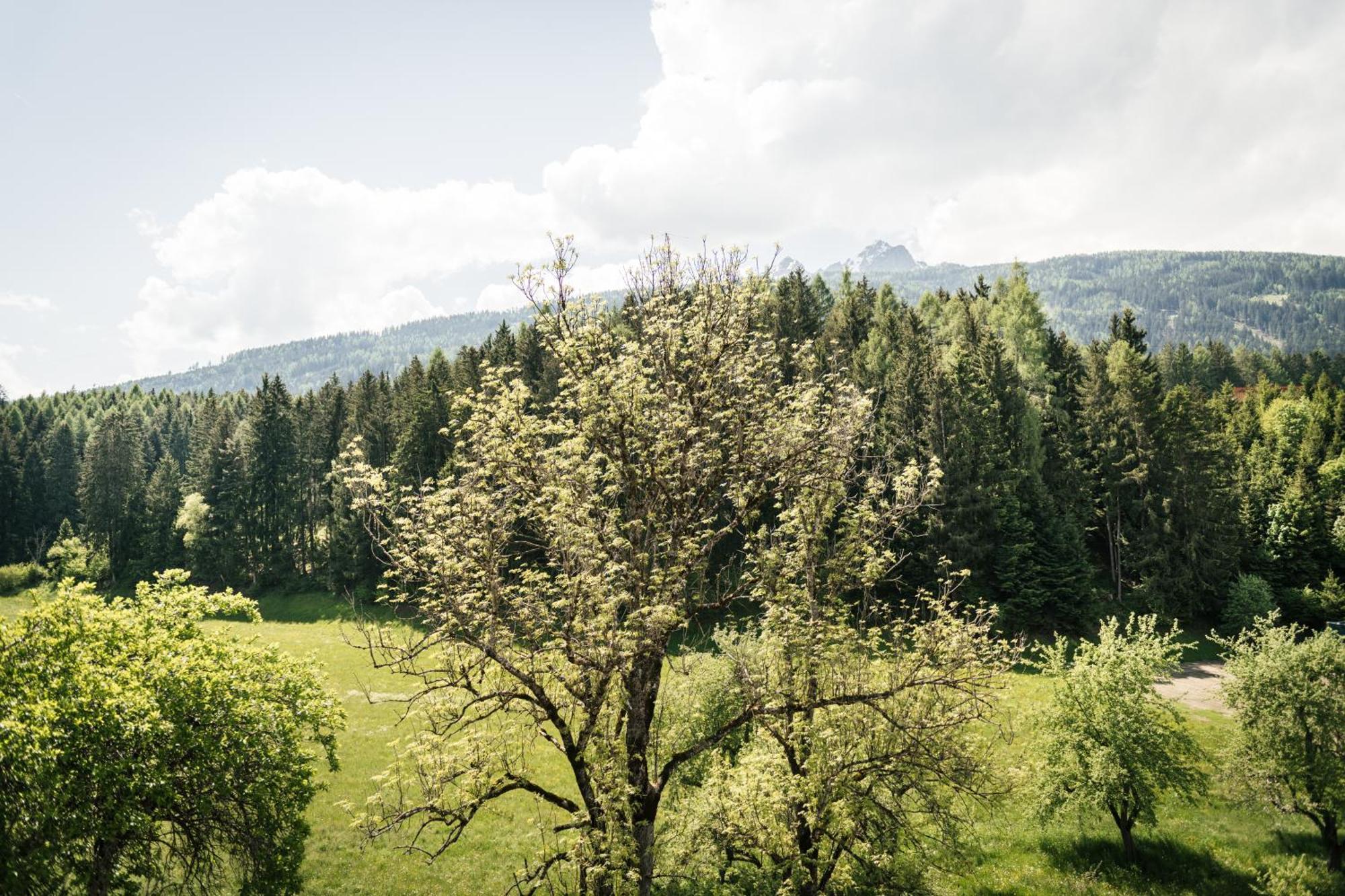 Edenhauserhof Neu Gotzens Exteriér fotografie